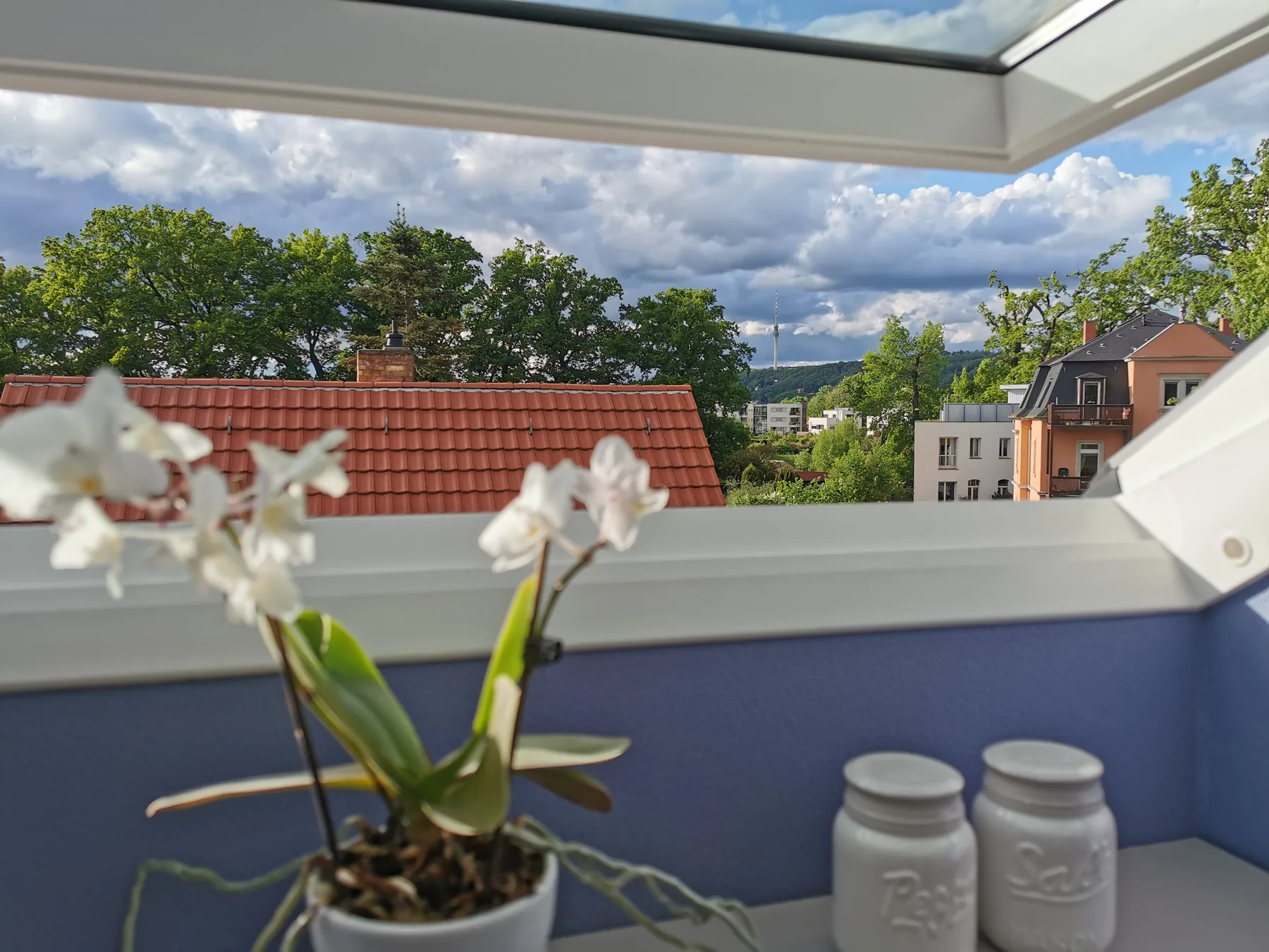 Blick aus dem Küchenfenster zum Dresdner Fernsehturm